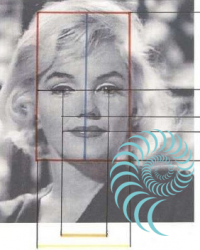 visage