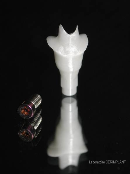 Pilier zircone Bone Level RC